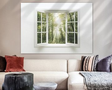 forest view from the living room