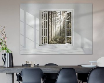 forest view from the living room