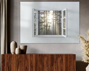 view of the forest landscape from the living room by Egon Zitter