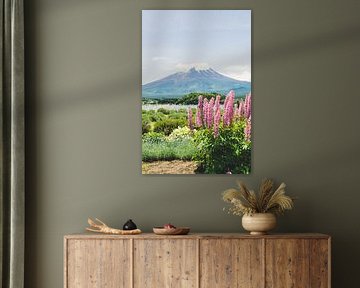 Mount Fuji