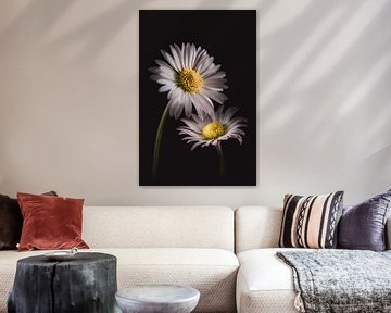 Witte Madeliefjes | Werk aan de muur bloemen van Sandra Hazes