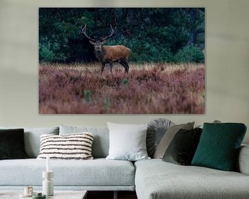 Weathervane during the deer rut by Rina Kommer