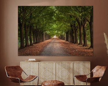 Lindenlaan in Toscane van Stefano Orazzini