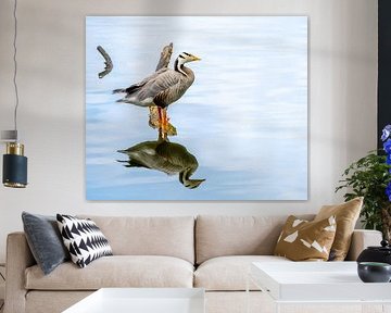 L'oie à tête barrée se tient dans l'eau et se reflète sur la nacelle sur ManfredFotos