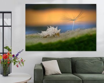 Tiny Nature Landscape