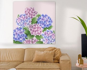 Hortensia