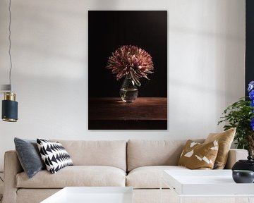 Chrysant stilleven - Roze bloemen met betekenis