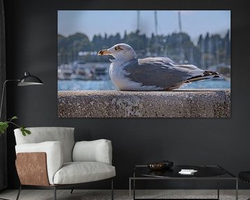 Kroatië : Uitzicht op de haven van Split