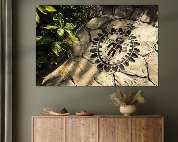 Turtle on stone path