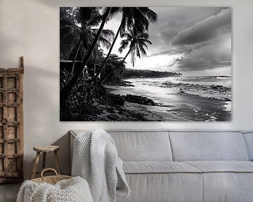 Zwart-wit strand met palmbomen van Art & Soul Creations