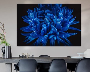 Kunst Chrysantheme von Sandra Hazes
