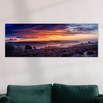 Nature's gift von Robert Stienstra