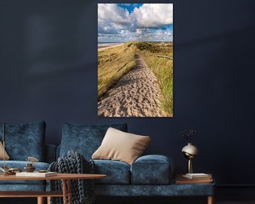 Chemin sablonneux à travers la dune de mer sur Fotografie Egmond