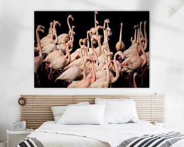 Flamingo sur Vivian van den Ende