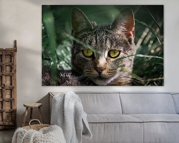 A velvety Cat in Mystical Green by Marjolijn Vos