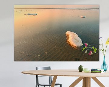 Poolijs en zeelandschap op de zandplaten in de Waddenzee van Sjoerd van der Wal Fotografie