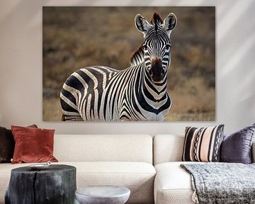 Close-up of a zebra in the wild by Art & Soul Creations