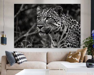 Close-up of a majestic leopard in black and white by Art & Soul Creations