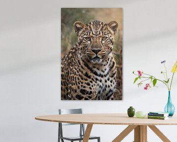 Stunning close-up of a wild leopard by Art & Soul Creations