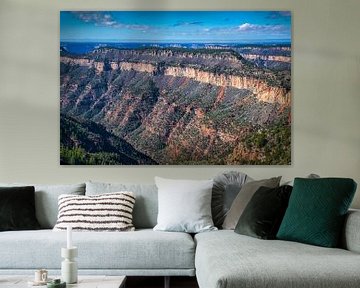 Luchtfoto van de Grand Canyon, Arizona van Rietje Bulthuis