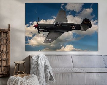 Curtiss P-40 Warhawk van Brian Morgan