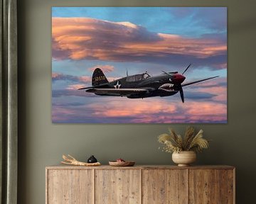 Curtiss P-40 Warhawk van Brian Morgan