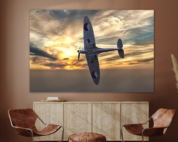 Supermarine Spitfire by Brian Morgan