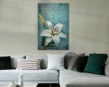 White lily with bud on blue background
