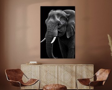 Prachtige zwart-wit foto van olifant van Art & Soul Creations