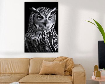 Detailed black and white photo of owl