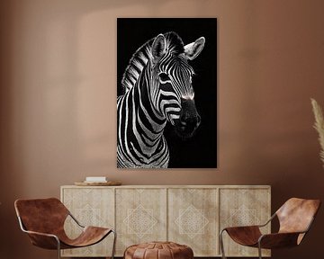 Black and white zebra with eye-catching details