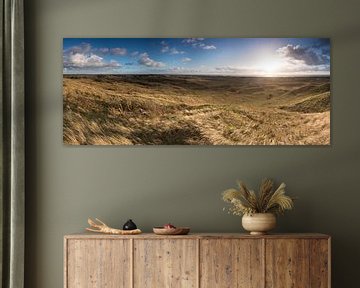 Duinlandschap panorama van Fotografie Egmond