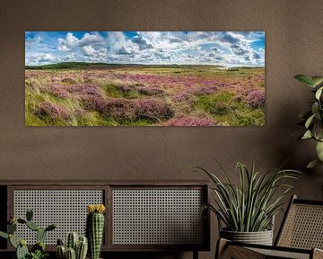 Heather in dune panorama by Fotografie Egmond