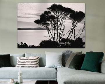Tree on top of cliff in black and white. by Marloes van Pareren