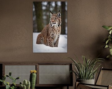 Lynx in winterse omgeving van Art & Soul Creations