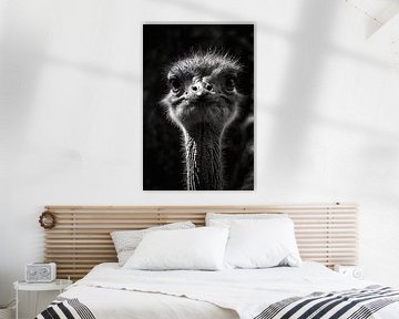 Ostrich in black and white detail by Art & Soul Creations