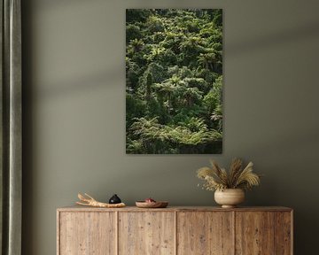 Fifty shades of green. Rainforest in the sun.