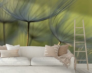 Morning Star by Niek Goossen