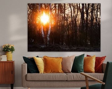 Sonnenaufgang durch die Bäume von Jan Linskens