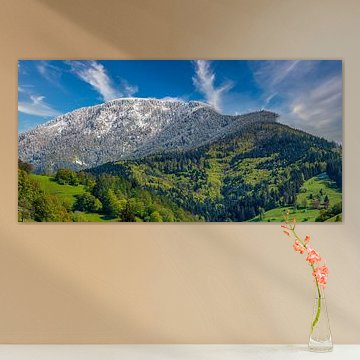 Der Belchen im Schwarzwald