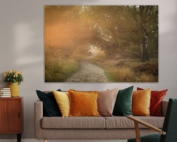 Magical atmosphere on the moors by Eefje John