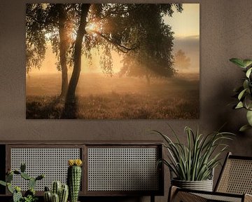 Magical atmosphere on the moors by Eefje John