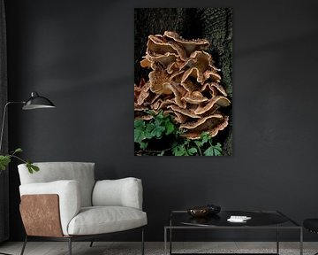 Le champignon géant comme un lierre contre l'arbre. sur Corine Dekker