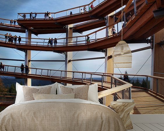 Aperçu de la chambre