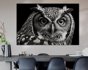 Zwart-wit uil close-up kunst van Art & Soul Creations