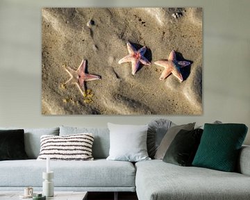 Zeesterren op het strand van Ameland van Evert Jan Luchies