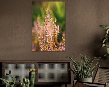 Portrait of a golden dragonfly.2 by Daniëlle Eibrink Jansen