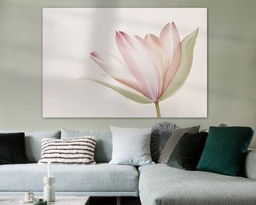 Stylised tulip with soft colours by Art & Soul Creations