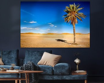 Palmboom in woestijn van Paul Piebinga