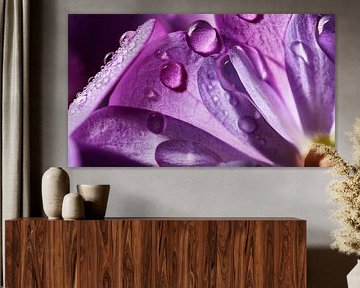Bloem met regendruppels